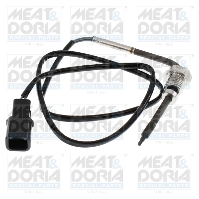 Sensor, exhaust gas temperature
